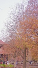 940D93F6-C99B-4B90-AF44-072002FFCD42/L0/001