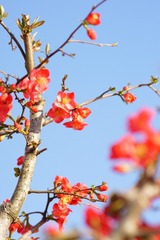 A042137B-AB7B-4EC7-BDA7-1196D22E27A7/L0/001