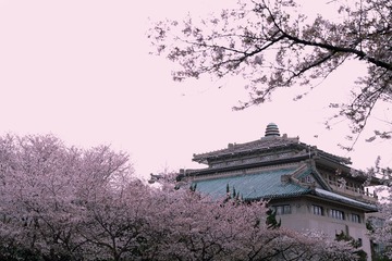 20230F3A-67E5-4F09-B1D4-3FCF4586D1F8/L0/001