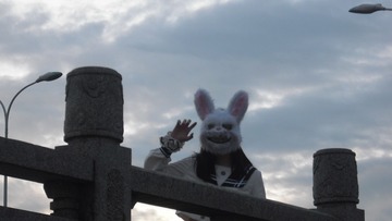 2010594