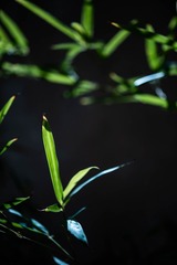 20220706-DSC_5044