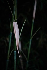 20220706-DSC_5046