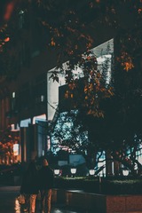 291825