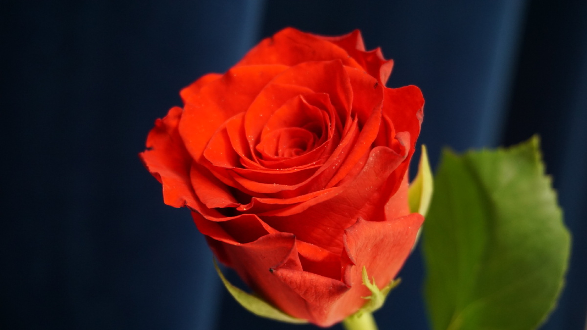 点赞是美德,打赏是鼓励打赏还没有人打赏,快来当第一个打赏的人吧