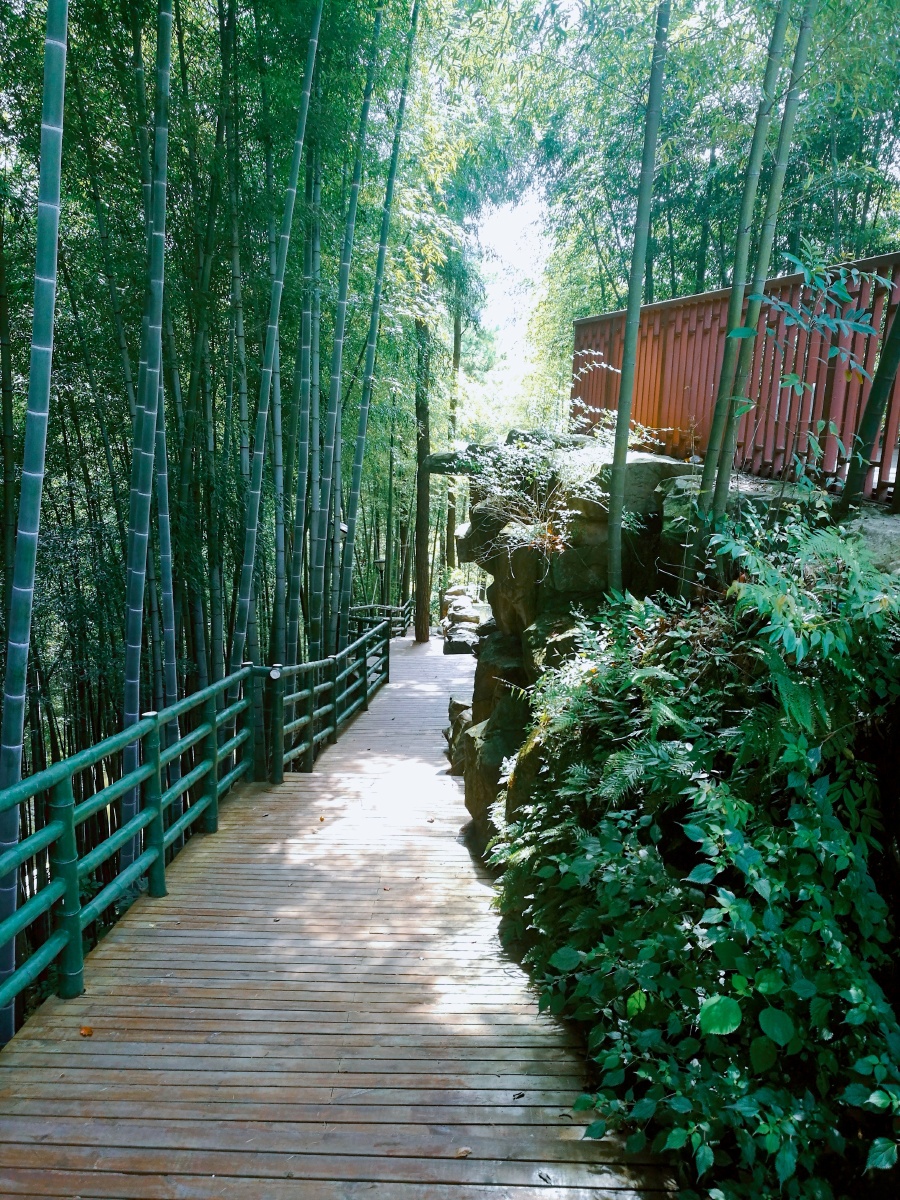 曲径通幽处禅房花木深