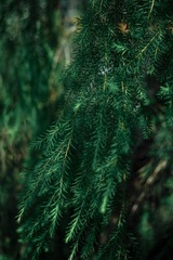 3B14BE3E-2F58-4EF5-BDB6-A6D65DFFF285/L0/001