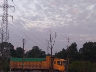 66281