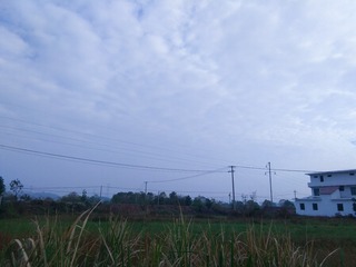 65364