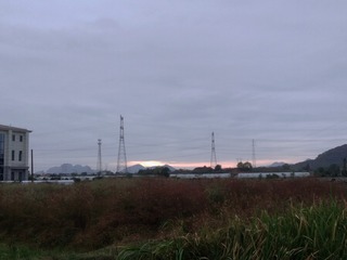 65161
