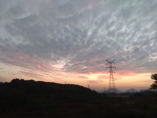 66328
