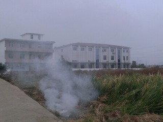 67041