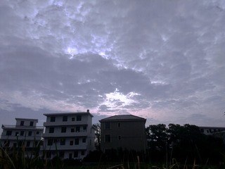 65383