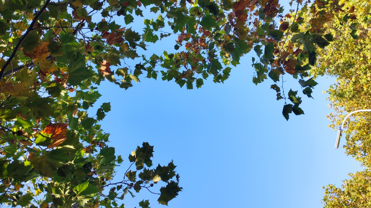 夏去秋来的季节