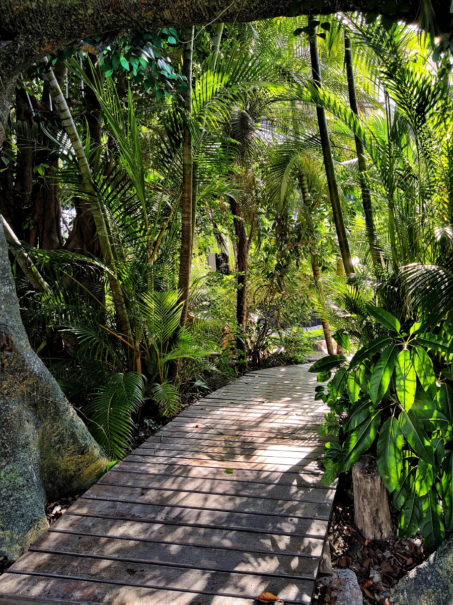丛林秘境 - 鹭风海韵 - 图虫