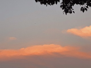 D888AD82-B1A2-44B0-8B30-41935FE47963/L0/001