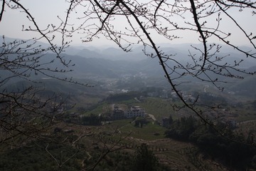 灵山 (26 - 211)