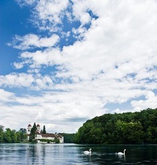 Klosterkirche in Rheinau