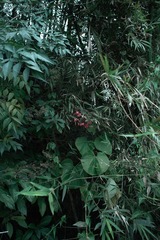 CA62DB53-08D5-4E89-A111-58B884C41D17/L0/001