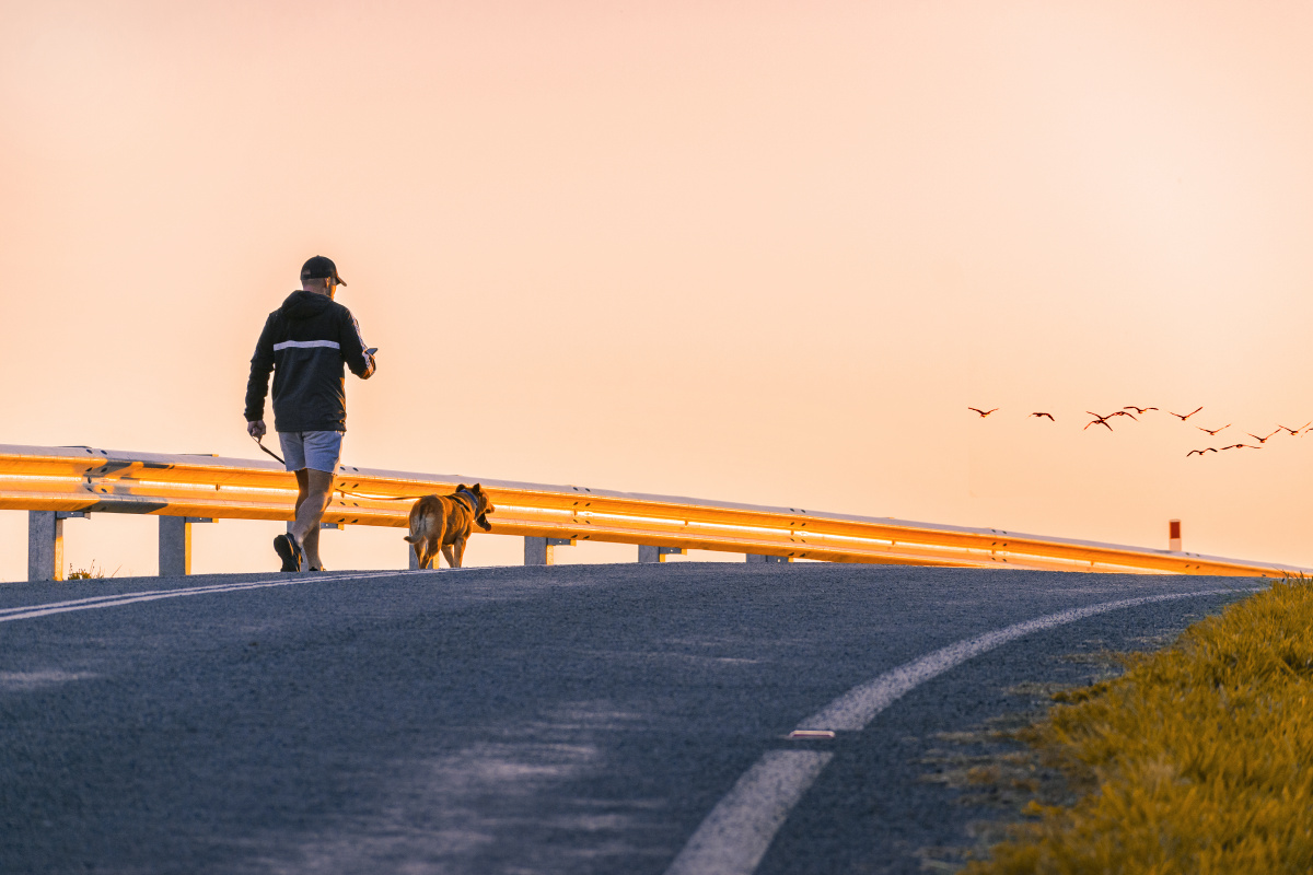 夕阳西下山路上的人与狗