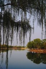 A020D8C7-3486-487B-8673-ADB413983301/L0/001