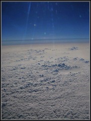 Fly
