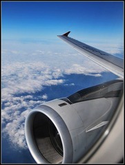 Fly