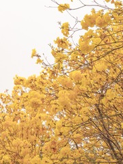 858BE744-D383-4109-ABC7-4C8613C2357C/L0/001