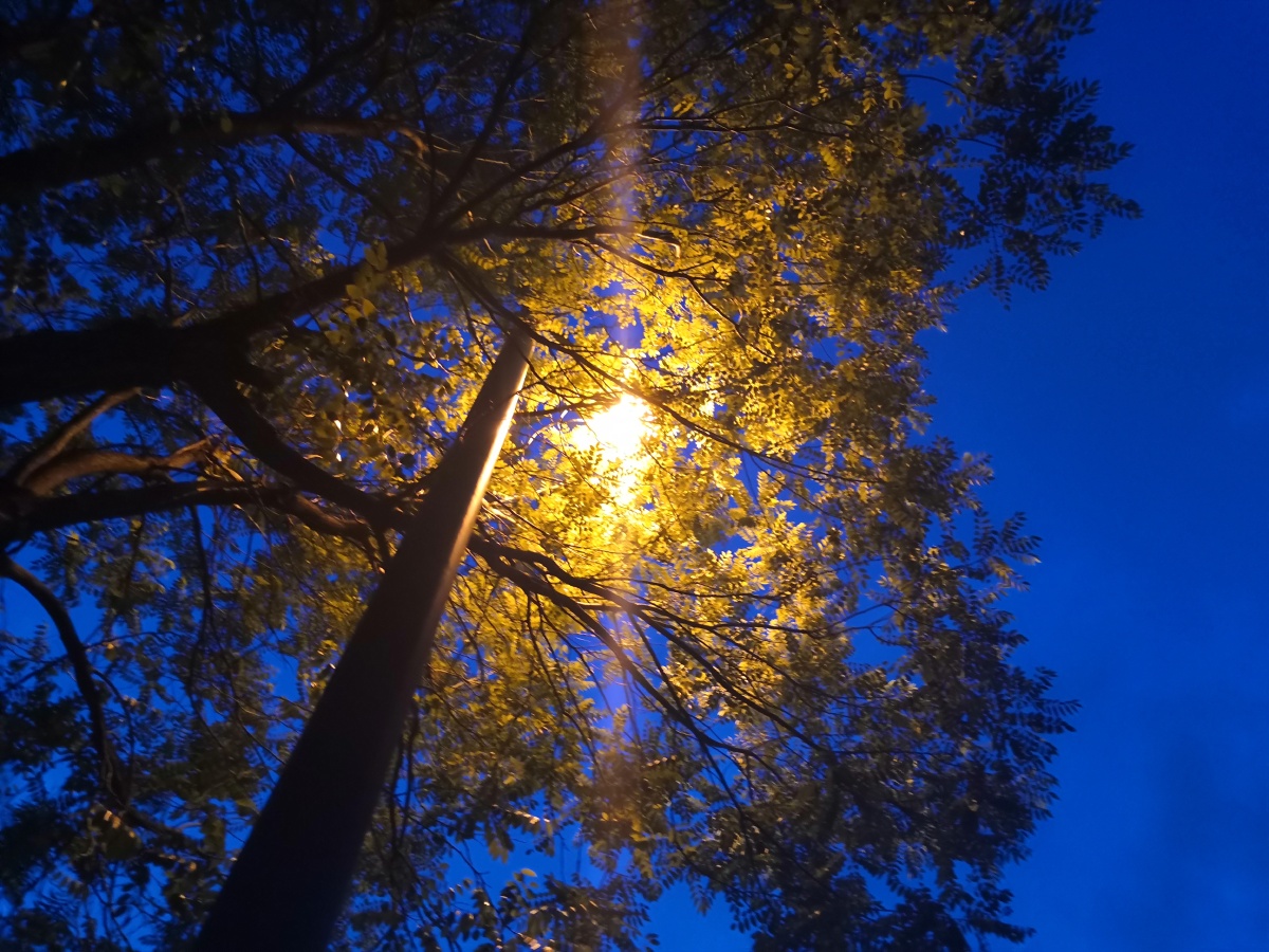 夕阳,日落,光晕,晚霞