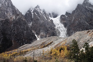 L1001754