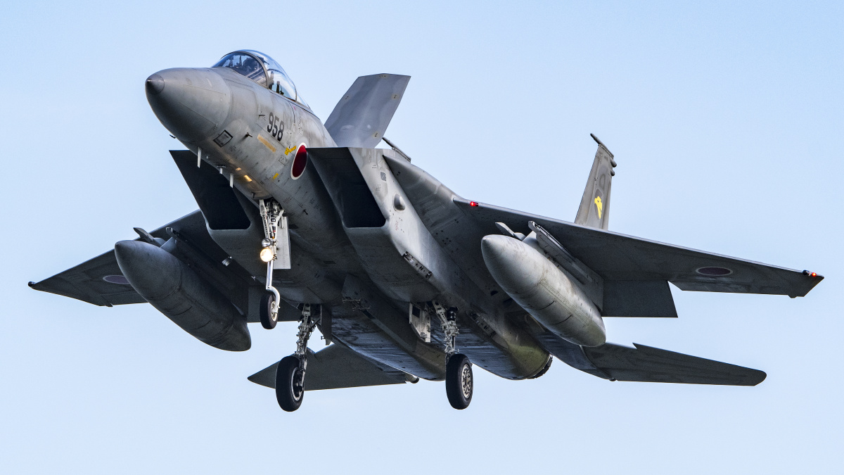 f15jf15dj战斗机资料图1