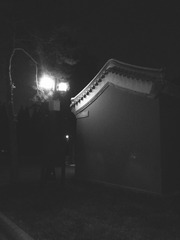 26060