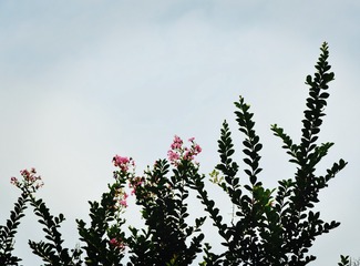 308028