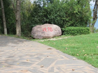 754369