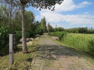 754376