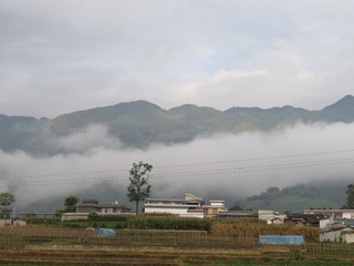 751524