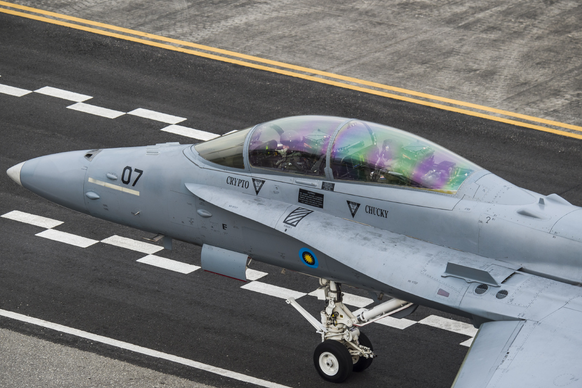 fa18大黄蜂战斗机