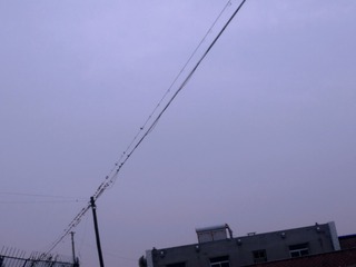 185583
