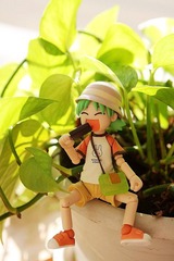 四叶MM 夏日版
