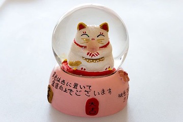 [CANON 350D]招财猫