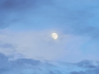 1013769