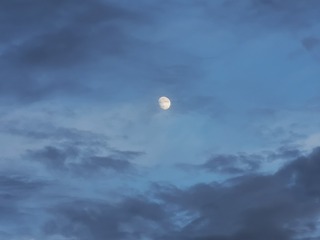 1013774