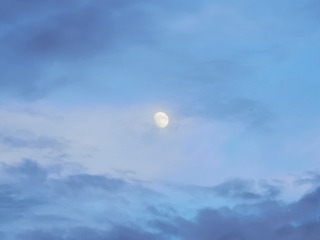 1013772