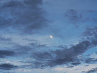 1013771