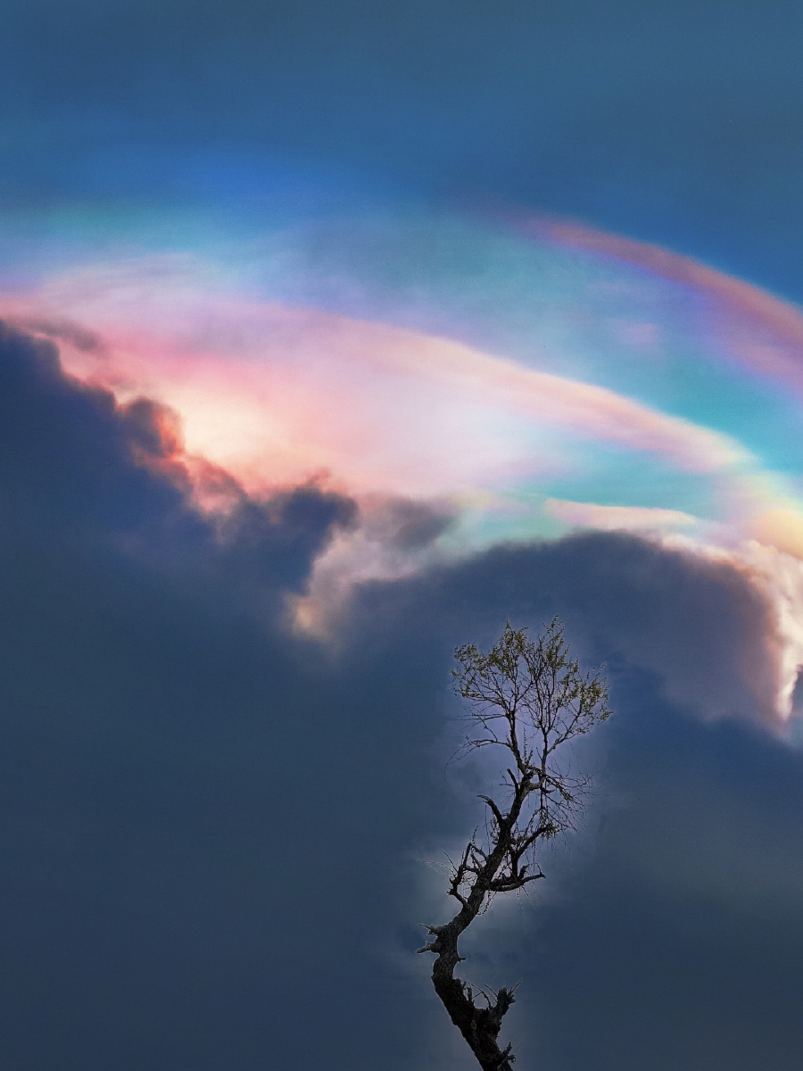 十年前光景成了美好的回忆