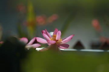 10E27A69-E1CA-46E0-A450-F8EB9E34DAA5/L0/001