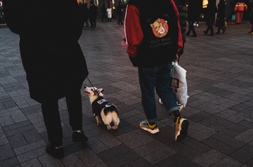 566728