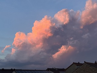 C0162667-E713-46C6-9AE3-97A172E73126/L0/001