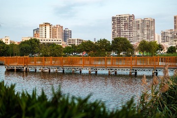 DSCF7846