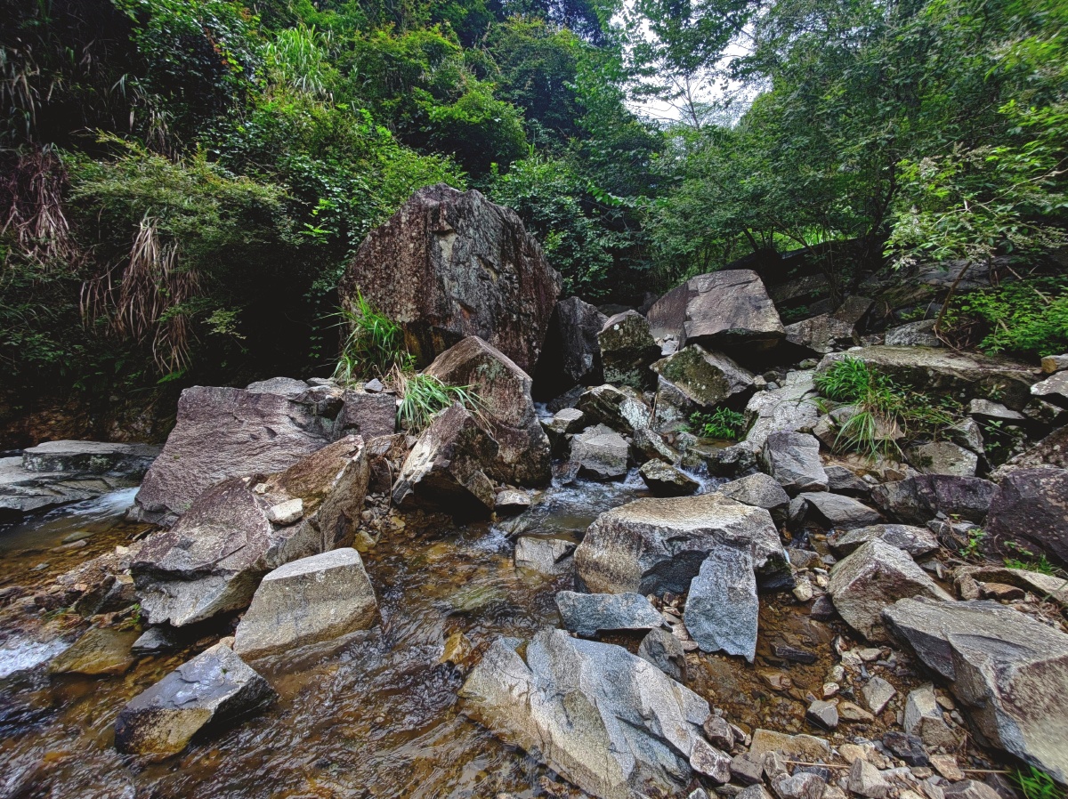 丽水市国家森林公园白云山景区,天然氧吧,避暑胜地. - 青山一道 - 图