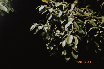 3593547